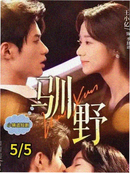 不羁夜 电影海报