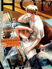 木兰花 电影海报
